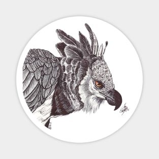 Harpy Eagle Magnet